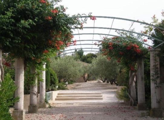 Un Gite En Provence - Les Jardins De Fontanille Saint-Remy-de-Provence Ngoại thất bức ảnh
