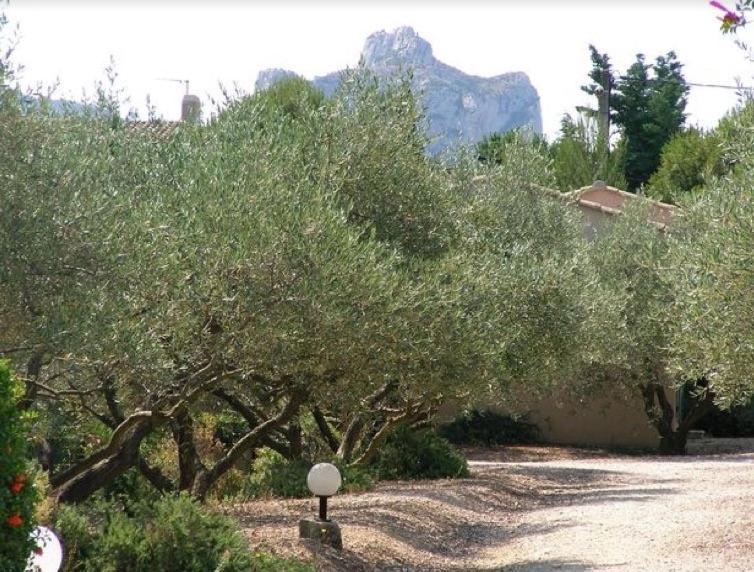 Un Gite En Provence - Les Jardins De Fontanille Saint-Remy-de-Provence Ngoại thất bức ảnh